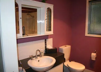 Purple Bathroom Painting Renovation Toowoomba